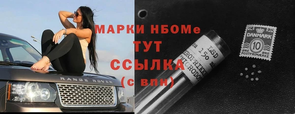 крисы Аркадак