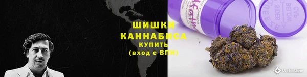 амф Алзамай