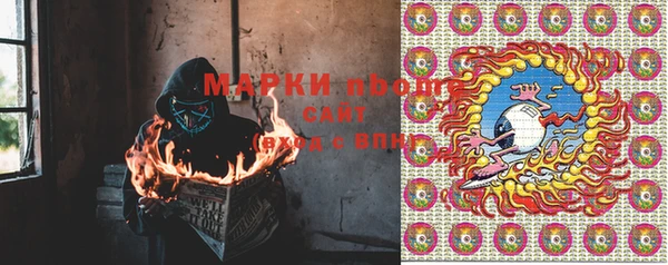 крисы Аркадак