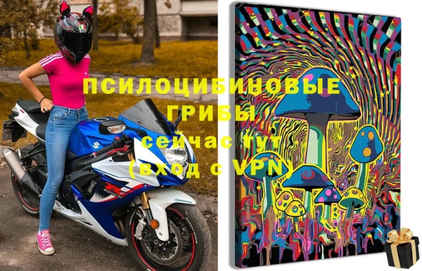 крисы Аркадак