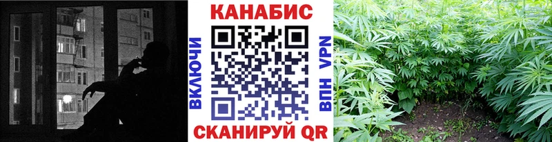 Канабис Bruce Banner Бикин